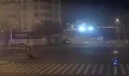 徐州黑坑爆料事件最新,揭秘背后惊人真相